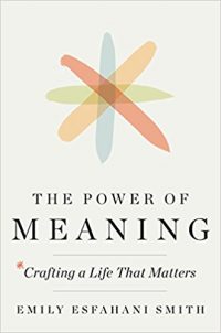 The_Power_of_Meaning_FlashBooks_Book_Summary